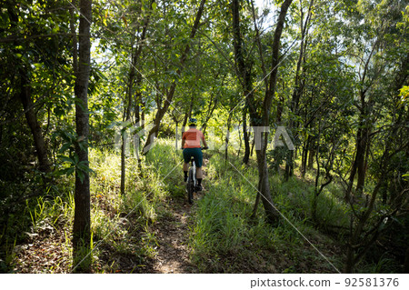 Mountain biking in summer forest 92581376