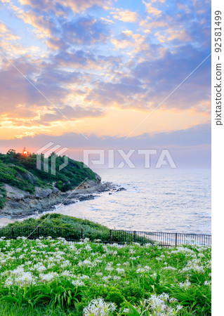 福岡縣日落與濱湯夏浜蘆屋町 92581499