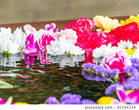 Early summer scenery Beautiful and cool flower hand water Early summer scenery Beautiful and cool flower hand water 92584334