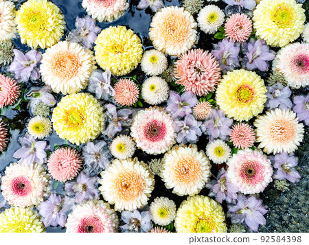 Early summer scenery Beautiful and cool flower hand water Early summer scenery Beautiful and cool flower hand water 92584398