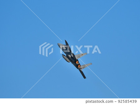 F-15 Eagle Fighter Mobile Flight 92585439