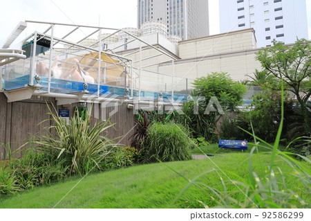 Sunshine Aquarium Marine Garden 92586299