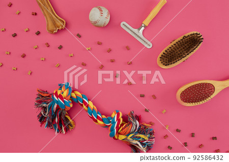 Accessories for the grooming of the dog. Combs and brushes for dogs. Top view Accessories for the grooming of the dog. Combs and brushes for dogs. Top view 92586432