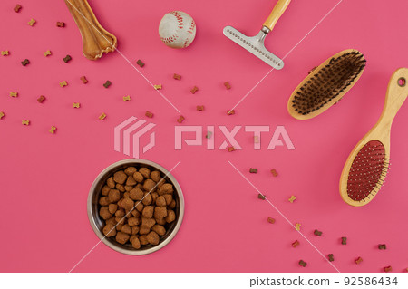 Accessories for the grooming of the dog. Combs and brushes for dogs. Top view Accessories for the grooming of the dog. Combs and brushes for dogs. Top view 92586434