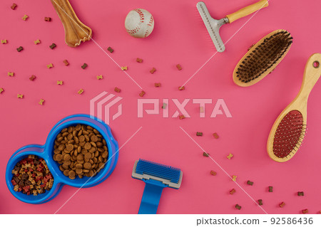 Accessories for the grooming of the dog. Combs and brushes for dogs. Top view Accessories for the grooming of the dog. Combs and brushes for dogs. Top view 92586436