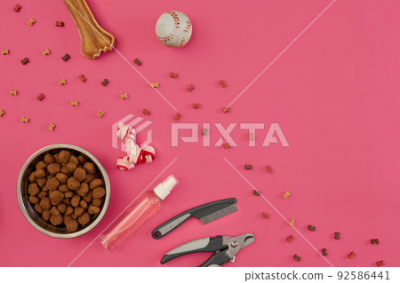 Accessories for the grooming of the dog. Combs and brushes for dogs. Top view 92586441