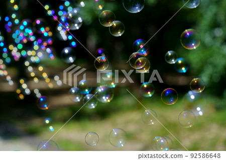 Soap bubble play in the park forest 92586648