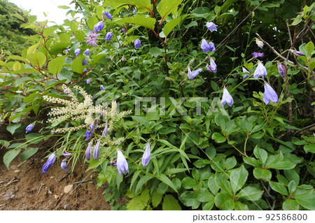 Bandai Bandai 92586800