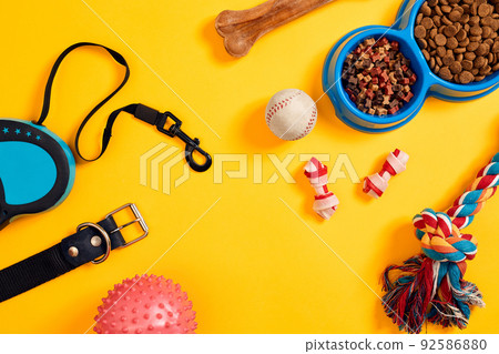 Dog accessories on yellow background. Top view. Pets and animals concept Dog accessories on yellow background. Top view. Pets and animals concept 92586880