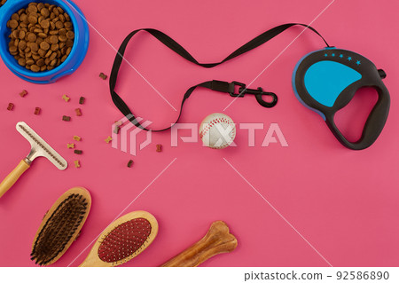Accessories for the grooming of the dog. Combs and brushes for dogs. Top view 92586890