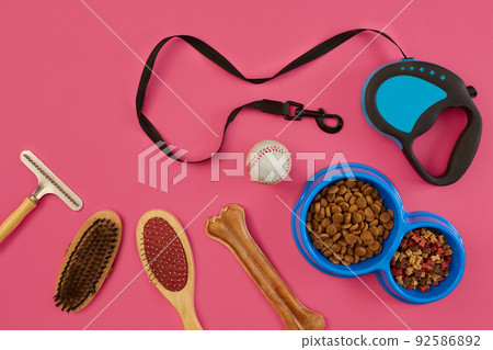 Accessories for the grooming of the dog. Combs and brushes for dogs. Top view Accessories for the grooming of the dog. Combs and brushes for dogs. Top view 92586892