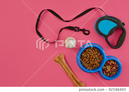 Pet accessories, food, toy. Top view 92586893