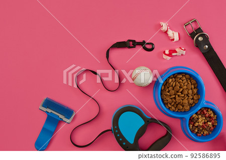 Dog accessories on pink background. Top view. Pets and animals concept Dog accessories on pink background. Top view. Pets and animals concept 92586895