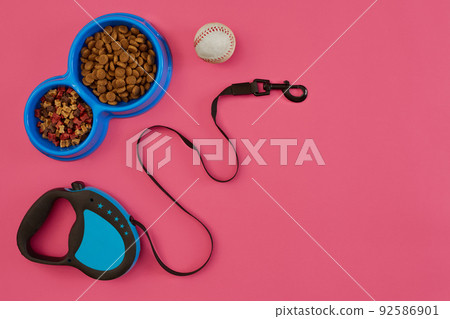 Pet accessories, food, toy. Top view Pet accessories, food, toy. Top view 92586901