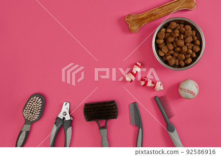 Accessories for the grooming of the dog. Combs and brushes for dogs. Top view Accessories for the grooming of the dog. Combs and brushes for dogs. Top view 92586916