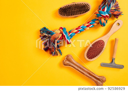 Accessories for the grooming of the dog. Combs and brushes for dogs. Top view Accessories for the grooming of the dog. Combs and brushes for dogs. Top view 92586929