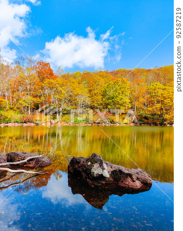 Autumn leaves of Sennin Pond (Sasagamine Plateau) 92587219