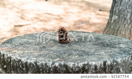 Pinecone Pinecone 92587754