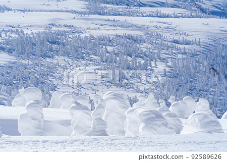 Hakkoda Mountains in winter, Japan's three major rime snow monsters, Aomori sightseeing 92589626