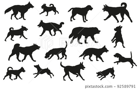 Group of dogs various breed. Black dog silhouette. Group of dogs various breed. Black dog silhouette. 92589791