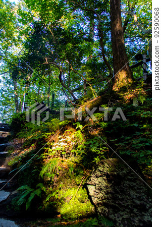 Sunbeams Sunbeams 92590068