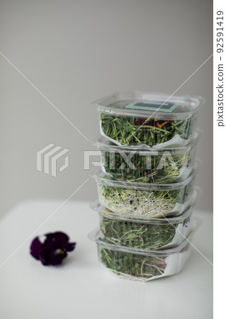 Raw healthy microgreen in a transparent box 92591419