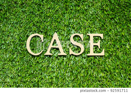 Wood alphabet letter in word case on green grass background 92591711