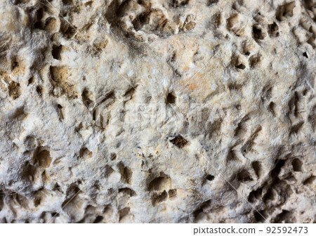 Light grey stone porous background texture limestone flagstone Light grey stone porous background texture limestone flagstone 92592473