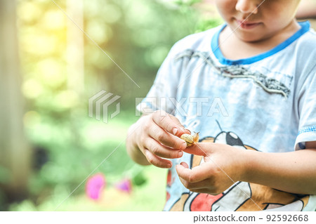 Curious little kid with snail in hand Curious little kid with snail in hand 92592668