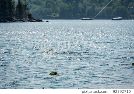 Lobster pot trap buoy floating on a choppy ocean in the Atlantic Ocean Lobster pot trap buoy floating on a choppy ocean in the Atlantic Ocean 92592710
