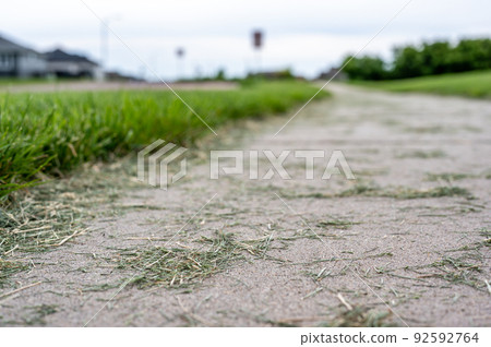 Grass clippings strewn across a residential sidewalk after mowing.  Grass clippings strewn across a residential sidewalk after mowing.  92592764