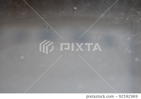 Chip in the glass windshield of a vehicle. Chip in the glass windshield of a vehicle. 92592969