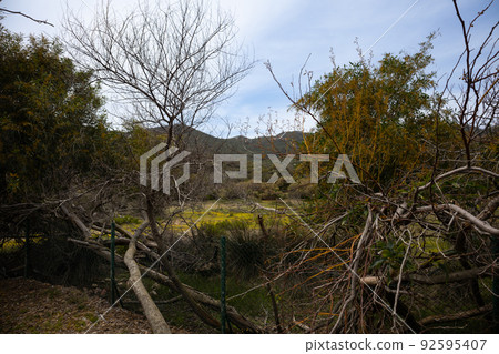 Nature of South Sardinia, Italy 92595407