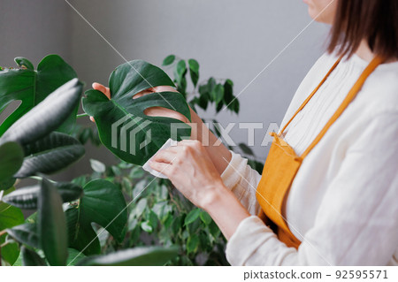woman waters flowers and takes care of green plants at home. A European woman entrepreneur in a flower shop. woman waters flowers and takes care of green plants at home. A European woman entrepreneur in a flower shop. 92595571