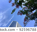 Crape myrtle and building 92596788