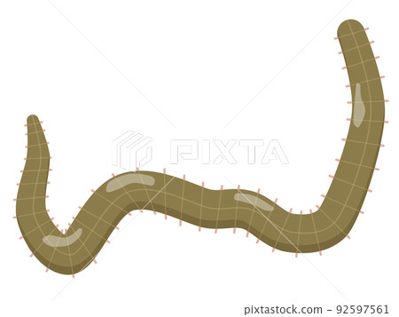 異構酶 異構酶 92597561