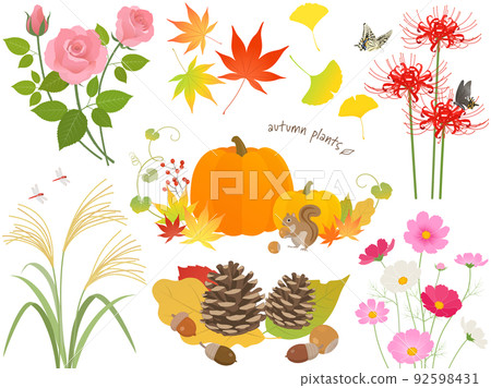 Autumn leaves and plant set 92598431