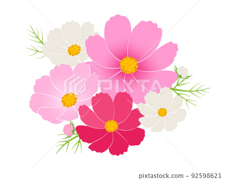 Cosmos_一點 92598621