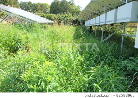 雜草叢生的太陽能發電廠,內襯電力調節器 雜草叢生的太陽能發電廠,內襯電力調節器 92598963