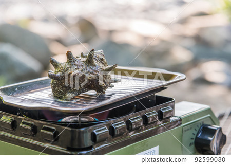 [在汽車露營地烘烤單獨的露營頭巾貝殼] 92599080