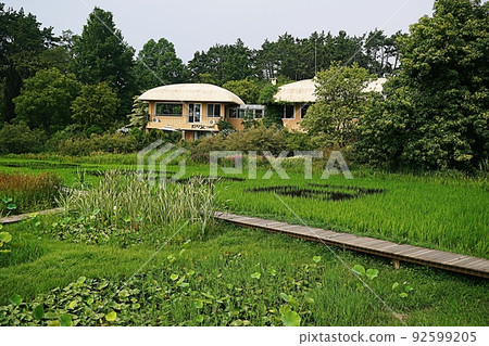 Cheollipo Arboretum scenery Cheollipo Arboretum scenery 92599205