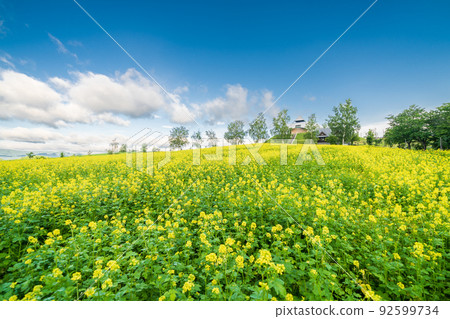 “北海道”美瑛西北山金字塔觀景台 92599734