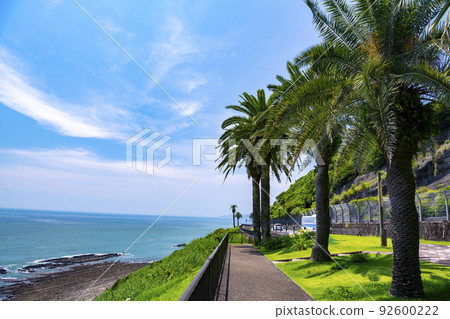 宮崎縣堀切峠的早晨 92600222