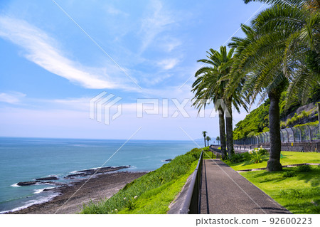 宮崎縣堀切峠的早晨 92600223