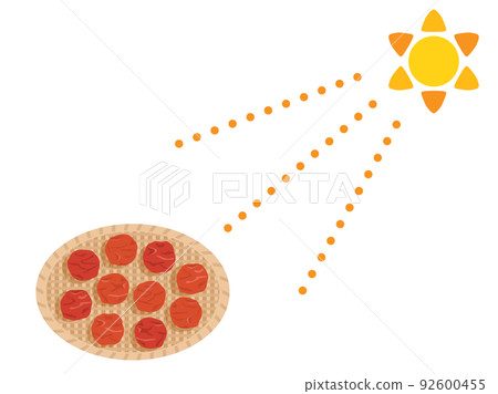 Illustration that imaged the sun-dried umeboshi 92600455