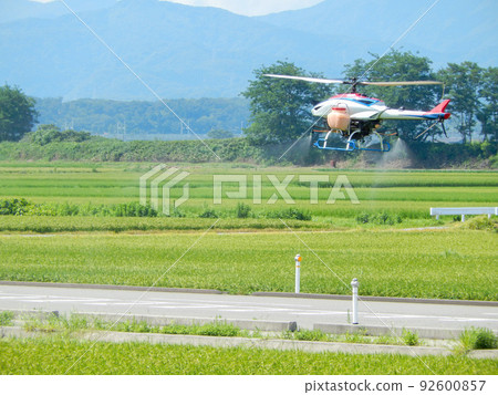 Spraying pesticides with a radio-controlled helicopter in the countryside Spraying pesticides with a radio-controlled helicopter in the countryside 92600857