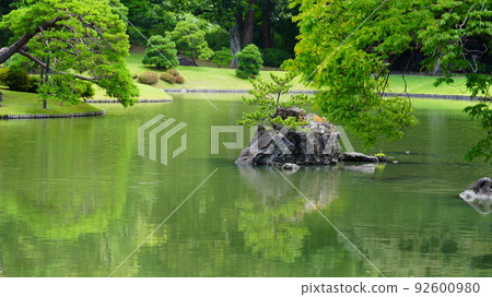 新鮮的綠色六義園 2022 新鮮的綠色六義園 2022 92600980