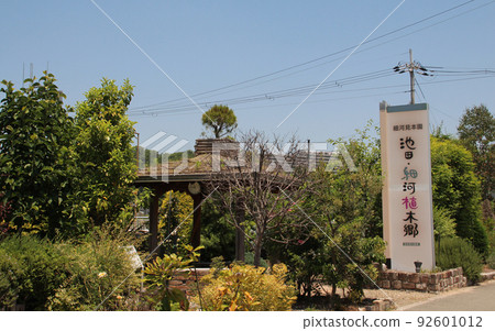 池田細川植木鄉，日本四大產區，園林美化之城 92601012