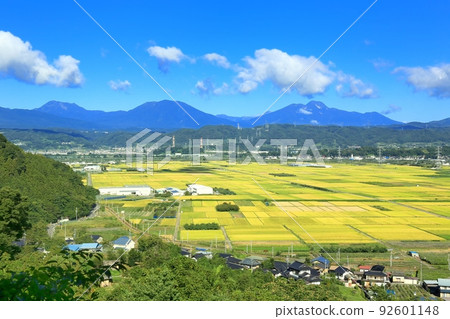 秋天的圓德稻田和北信五嶽 92601148