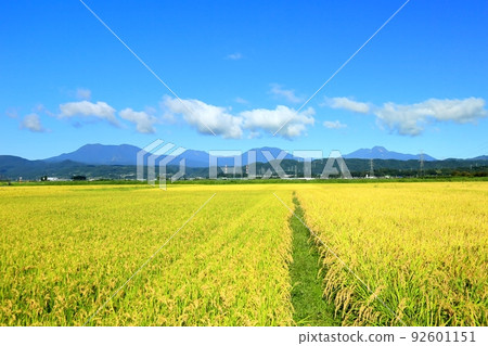 Autumn Entoku rice field and Hokushin Godake 92601151